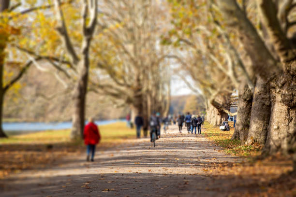 istock people walking trough a parkway, tilt-shift effect, autumn colors 1284588600