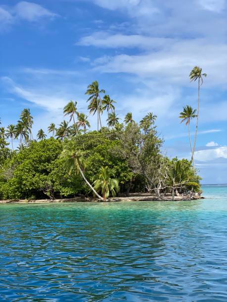 istock Tropical Island in Sunny Day 1284591989