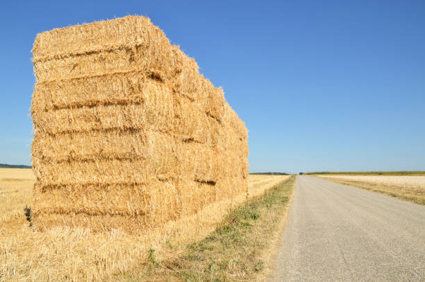 istock Bales of straw 1284592176