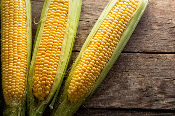 istock Fresh Corn on Cobs on old wooden table, top view, closeup 1284595562