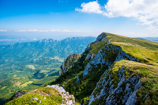 Trem top, of Dry Mountain or Suva Planina  , Serbia
