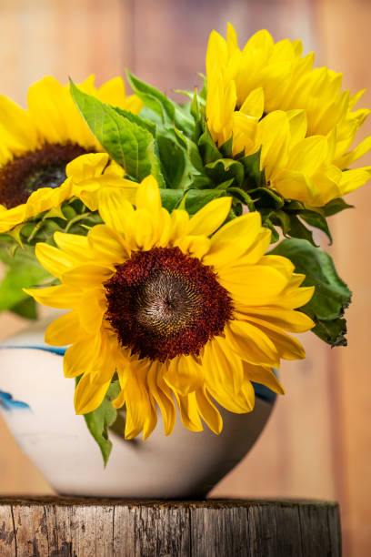 istock Sunflower Bouquet Cut From the Summer Garden 1284605975