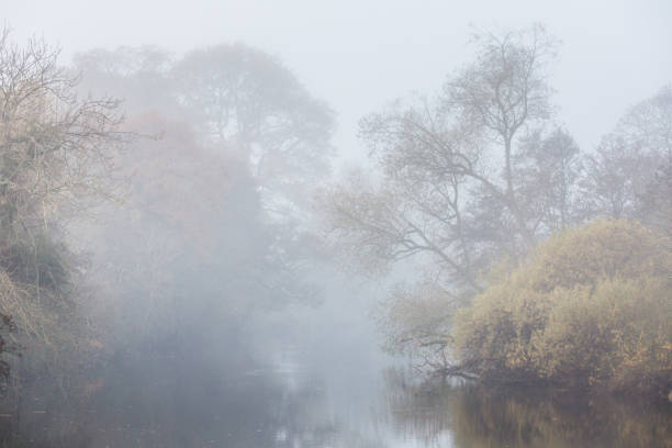 istock River and trees on a misty morning in Autumn 1284606270