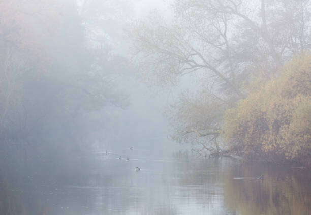 istock River and trees on a misty morning in Autumn 1284606274