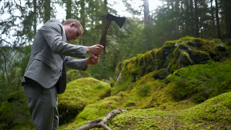 Business man in a grey suit chopping a branch with a hatchet in a green forest