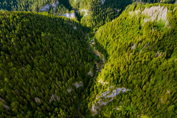 istock Slovakia nature hill forest valley 1284610002