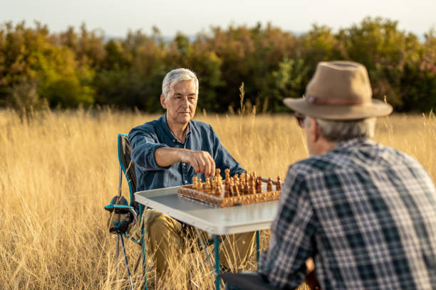 dos amigos mayores sentados en la naturaleza en el campo de hierba alta y jugando ajedrez - concentration chess playing playful fotografías e imágenes de stock