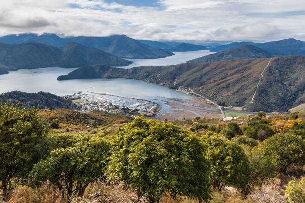 뉴질랜드 남섬 말버러 지역의 펠로루스 사운드 와 해브록 마을 - marlborough region zealand new landscape 뉴스 사진 이미지