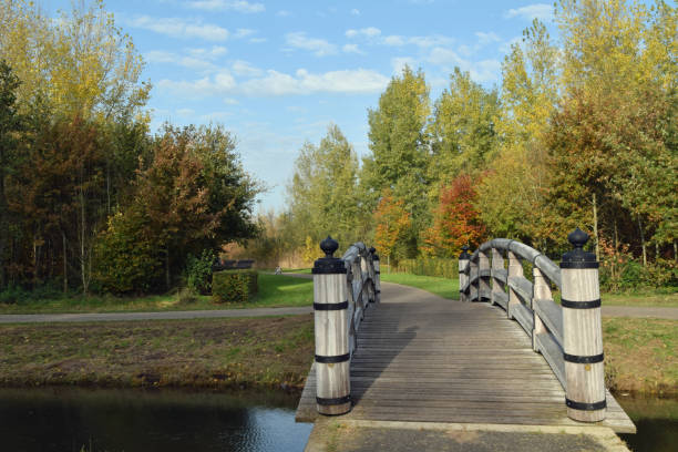 istock bridge in a public park in autumn 1284613333