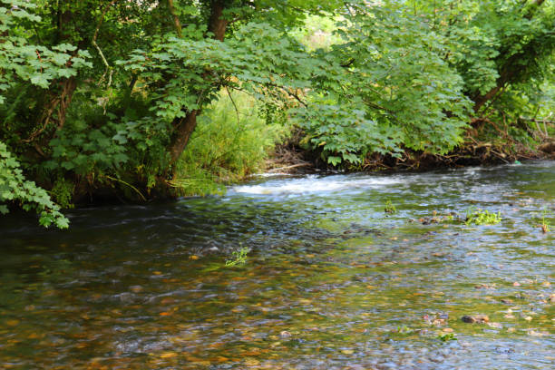 istock Building dams in the shallow waters around Restormel Manor 1284614112