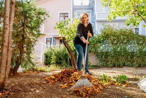 femme âgée nettoyant la cour arrière des feuilles tombées - râteau photos et images de collection