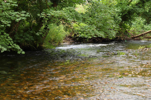 istock Building dams in the shallow waters around Restormel Manor 1284614171