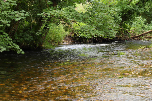 istock Building dams in the shallow waters around Restormel Manor 1284615470