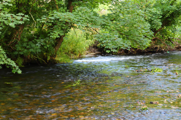 istock Building dams in the shallow waters around Restormel Manor 1284615533