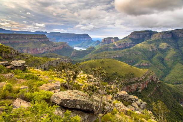 istock Natural vegetation Blyde river canyon 1284619300
