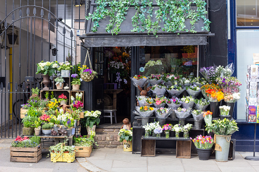 Fitzroy's Florist in Primrose Hill, London. This is a privately owned commercial business.