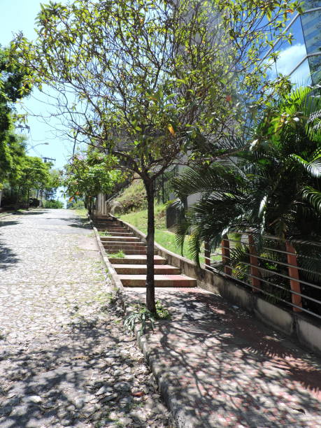 istock Belo Horizonte city, Brazil 1284619552