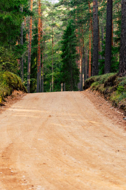 istock Empty Dirt Road in Forest, Trail Leading Deeper into the Woods 1284620890
