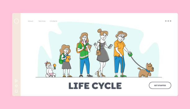 illustrazioni stock, clip art, cartoni animati e icone di tendenza di modello di pagina di destinazione del ciclo di vita del personaggio femminile e età femminile. le donne che invecchiano le fasi dall'infanzia all'adolescenza e agli anziani - aging process silhouette child women