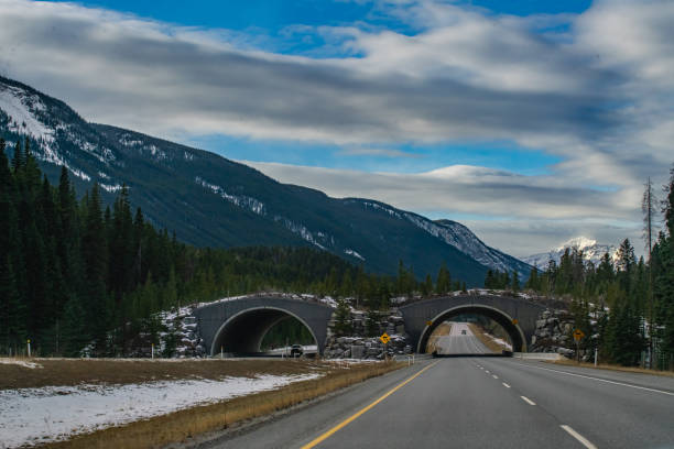 istock Divided Highway Going through the Rocky Mountains 1284623029