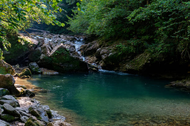 istock Landscape with summer mountain river and green forest 1284623690