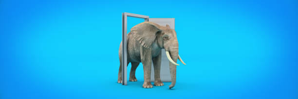 The big elephant enters opened door. 3d rendering