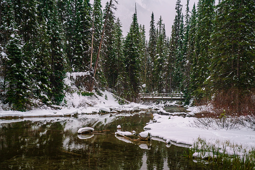 Natural Landscape at Emerald Lake in Yoho National Park, British Columbia, Canada