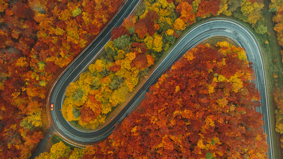 Aerial view of a winding mountain road with one car inside a colourful autumn forest.