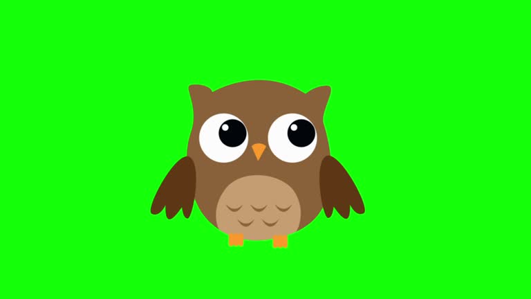 232 Owl Cartoon Stock Videos and Royalty-Free Footage - iStock | Wise owl cartoon 232 Owl Cartoon Stock Videos and Royalty-Free Footage - iStock | Wise owl cartoon