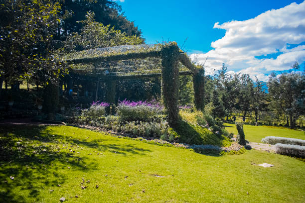 istock beautiful xela garden event galley 1284632962