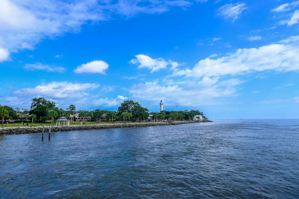 istock Coast of Saint Simons 1284632984