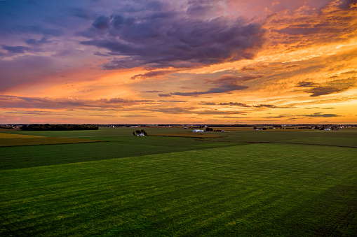 A brightly colored sunset over agricultural fields full of green soybeans, corn, and wheat in a the summer in rural northwest Ohio.