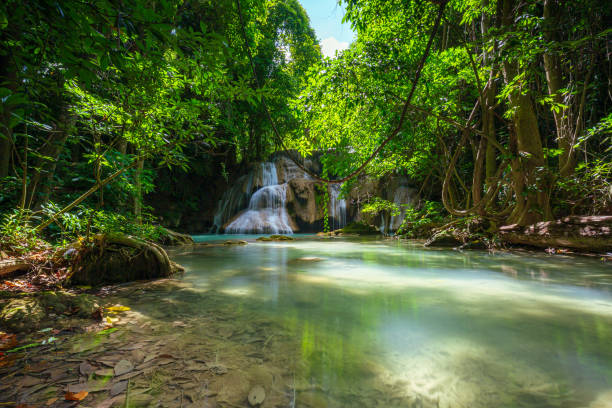 태국의 아름다운 물 유명한 열대 우림 폭포인 칸차나부리(kanchanaburi)의 깊은 숲속의 화이 매 카민 폭포 - srinakarin 뉴스 사진 이미지