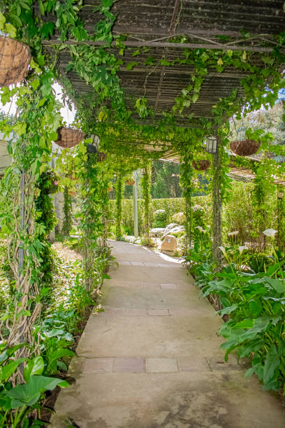 istock garden with beautiful plants way 1284634713