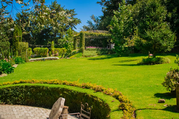 istock beautiful garden field with trees 1284635539
