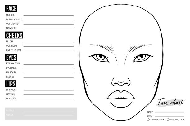 ilustrações de stock, clip art, desenhos animados e ícones de face chart blank. makeup artist vector template. - artist art artists canvas human eye