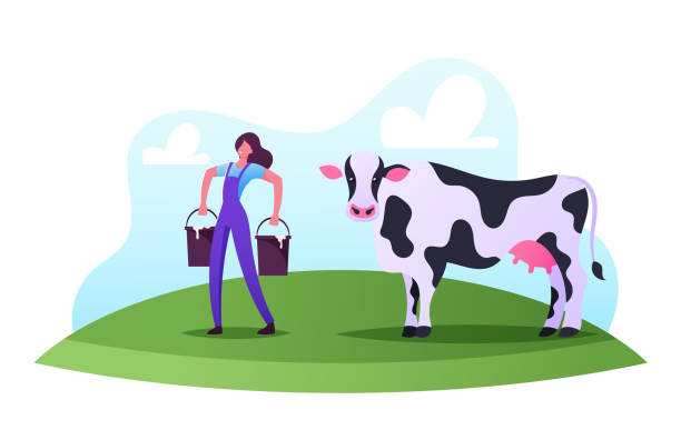 koncepcja zawodu mleczarza. kobieca postać pracuje na farmie. milkmaid kobieta w mundurze nosić wiadra po dojenia krowa - mleczarz stock illustrations