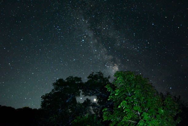Milky Way in Conjunction With Jupiter and Venus