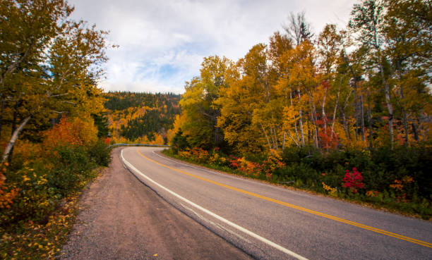 istock highway thru Cape Breton Highlands park 1284640748