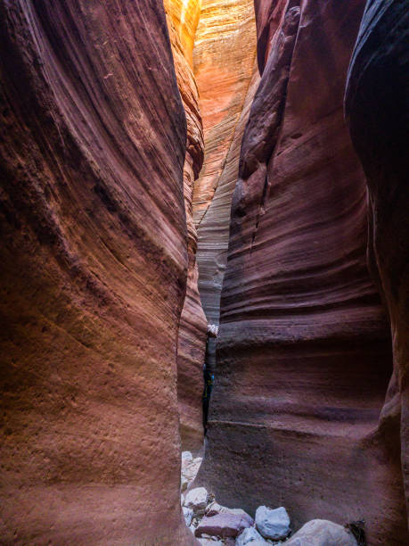 istock Fat Man's Misery Canyon in Utah 1284641032