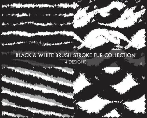 Vector illustration of Black and White Brush stroke fur collection