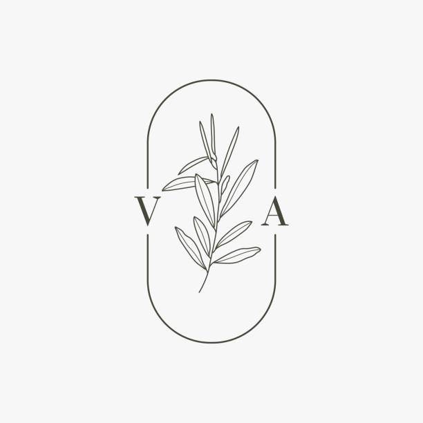 ilustraciones, imágenes clip art, dibujos animados e iconos de stock de monograma de boda con rama de olivo en estilo moderno de revestimiento minimalista. plantilla vector floral - illustration technique leaf evergreen tree wedding