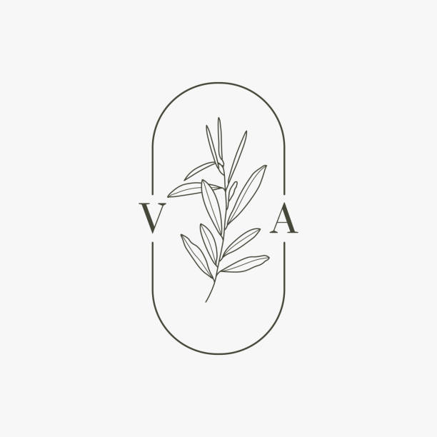 ilustrações de stock, clip art, desenhos animados e ícones de wedding monogram with olive branch in modern minimal liner style. vector floral template - olives