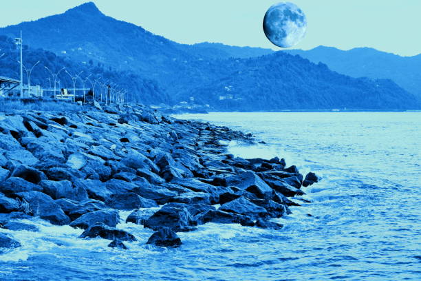 istock blue moon people silhouettes and landscape 1284649663