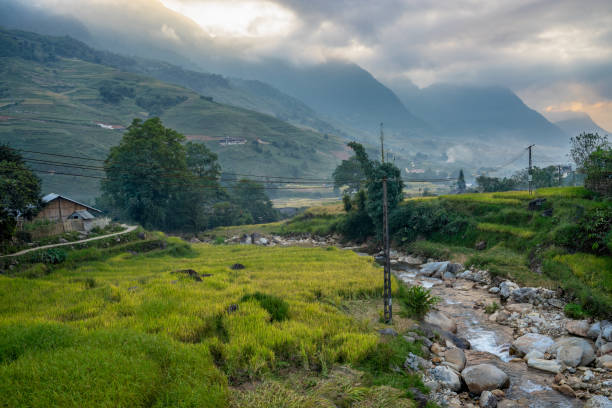 istock Beautiful Panorama of growing golden paddy rice field with stream flows through into Tavan local village and fansipan mountain on background in the morning, Sapa 1284653949