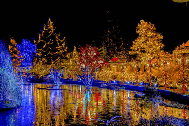 istock Christmas illuminations in the Garden 1284654904