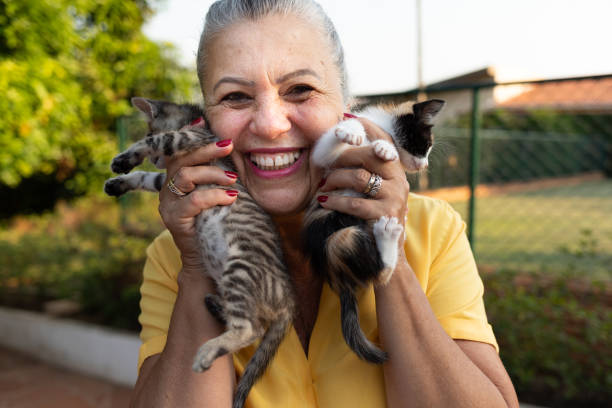 istock Woman, rescued cats, adoption 1284658984