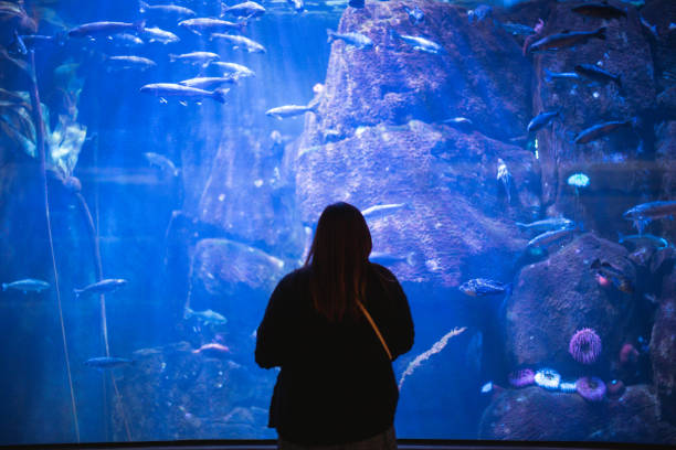 istock Hispanic Woman At Aquarium 1284659406