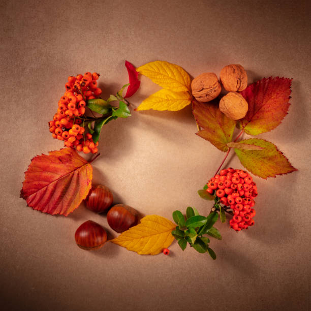 istock Autumn wreath, square design template with a place for text, autumn leaves flat lay composition, top shot 1284663273