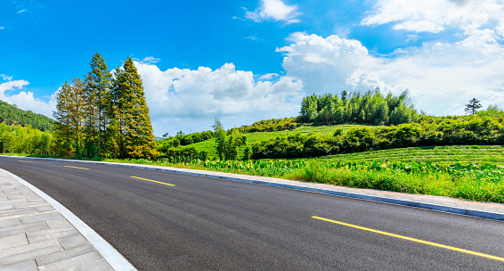 Countryside asphalt road and green tea plantations with mountain natural scenery in Hangzhou on a sunny day.